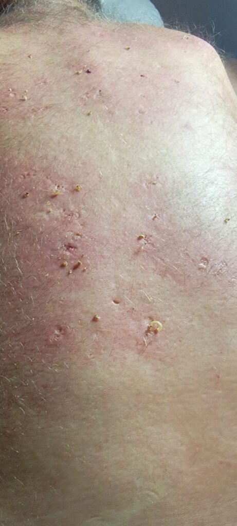 WhatsApp Image 2025-06-08 at 12.36.10 AM(1)